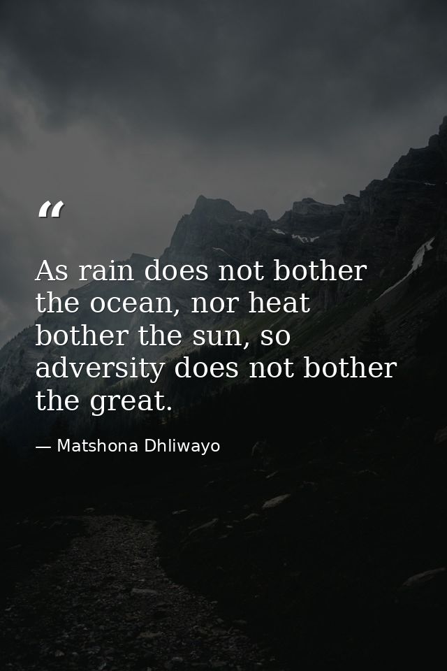 As rain does not bother the ocean, nor heat bother the sun, so adversity does not bother the great. — Matshona Dhliwayo