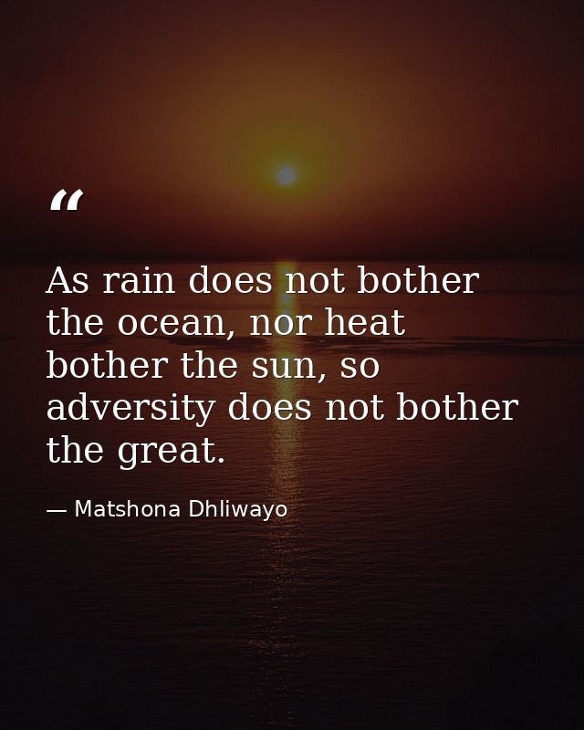 As rain does not bother the ocean, nor heat bother the sun, so adversity does not bother the great. — Matshona Dhliwayo