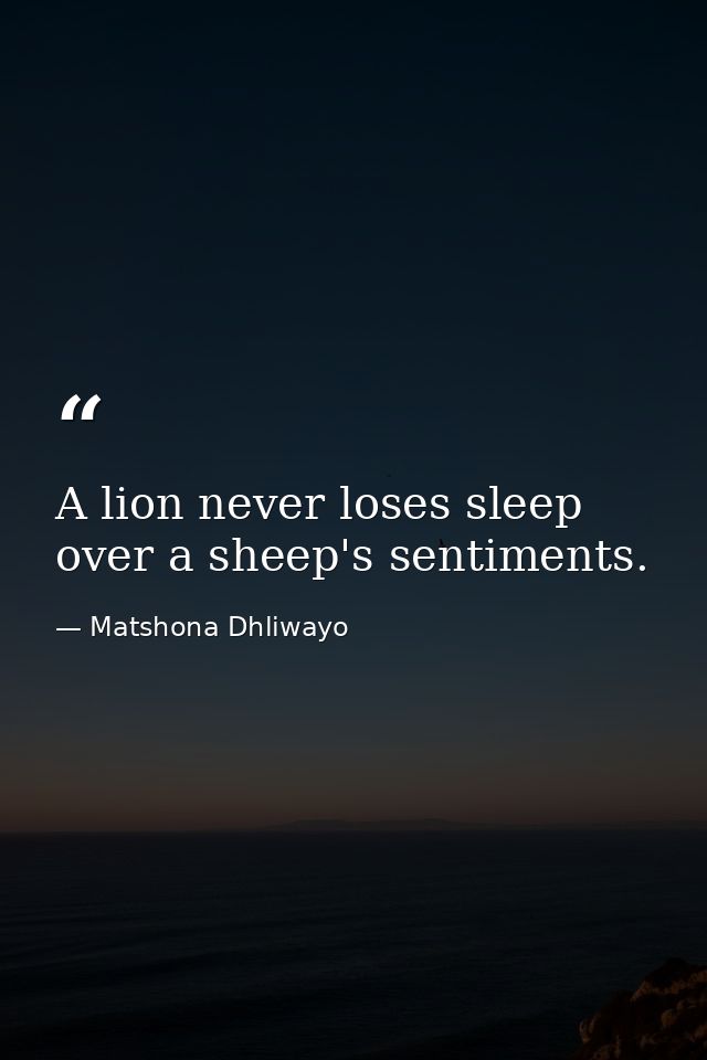 A lion never loses sleep over a sheep's sentiments. — Matshona Dhliwayo