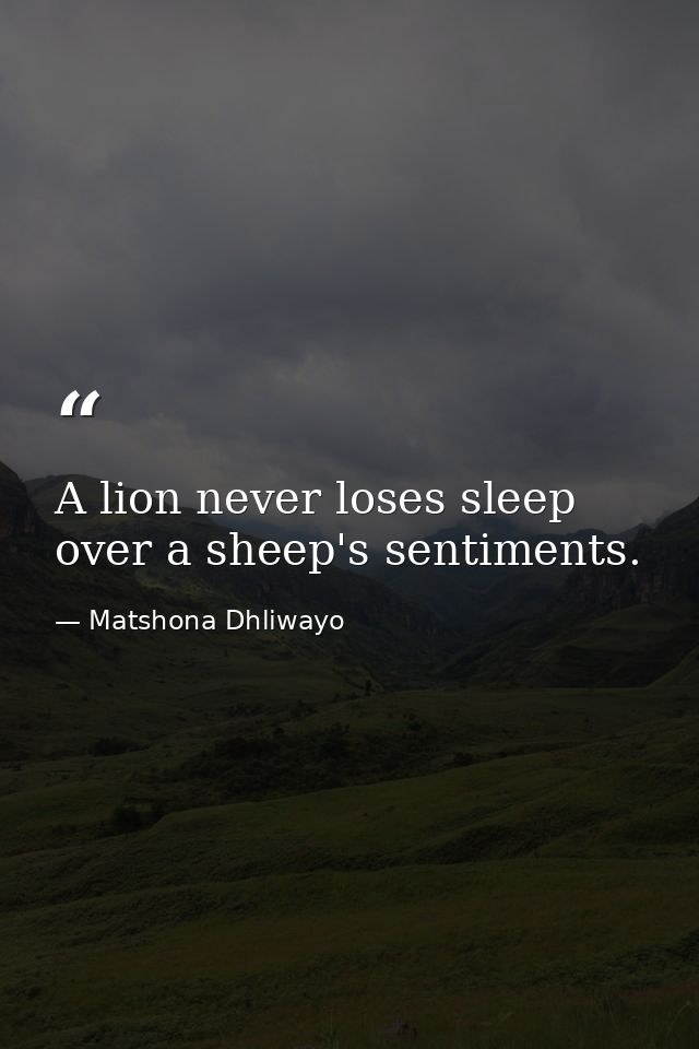 A lion never loses sleep over a sheep's sentiments. — Matshona Dhliwayo