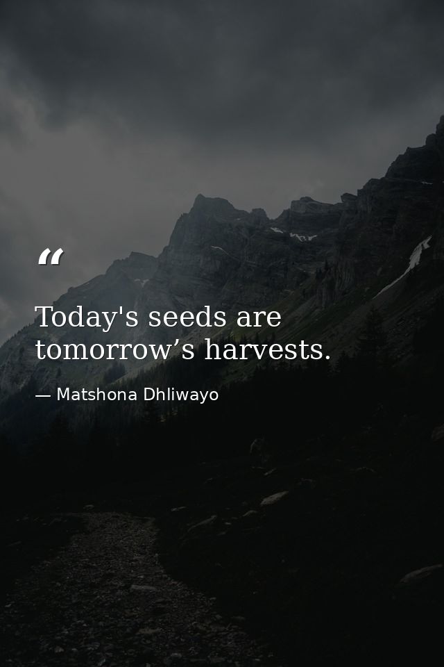 Today's seeds are tomorrow’s harvests. — Matshona Dhliwayo