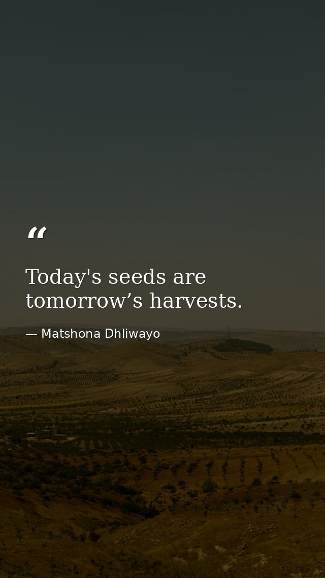 Today's seeds are tomorrow’s harvests. — Matshona Dhliwayo