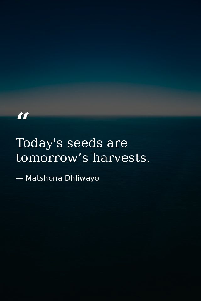 Today's seeds are tomorrow’s harvests. — Matshona Dhliwayo