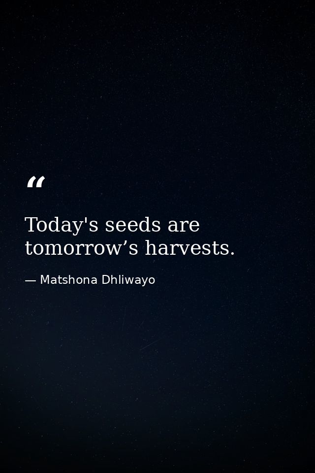 Today's seeds are tomorrow’s harvests. — Matshona Dhliwayo