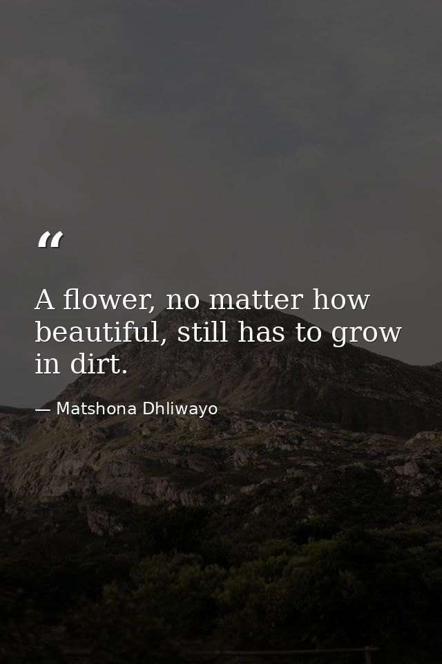 A flower, no matter how beautiful, still has to grow in dirt. — Matshona Dhliwayo