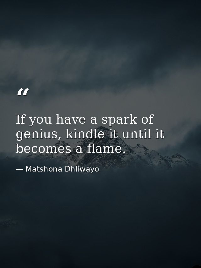 If you have a spark of genius, kindle it until it becomes a flame. — Matshona Dhliwayo