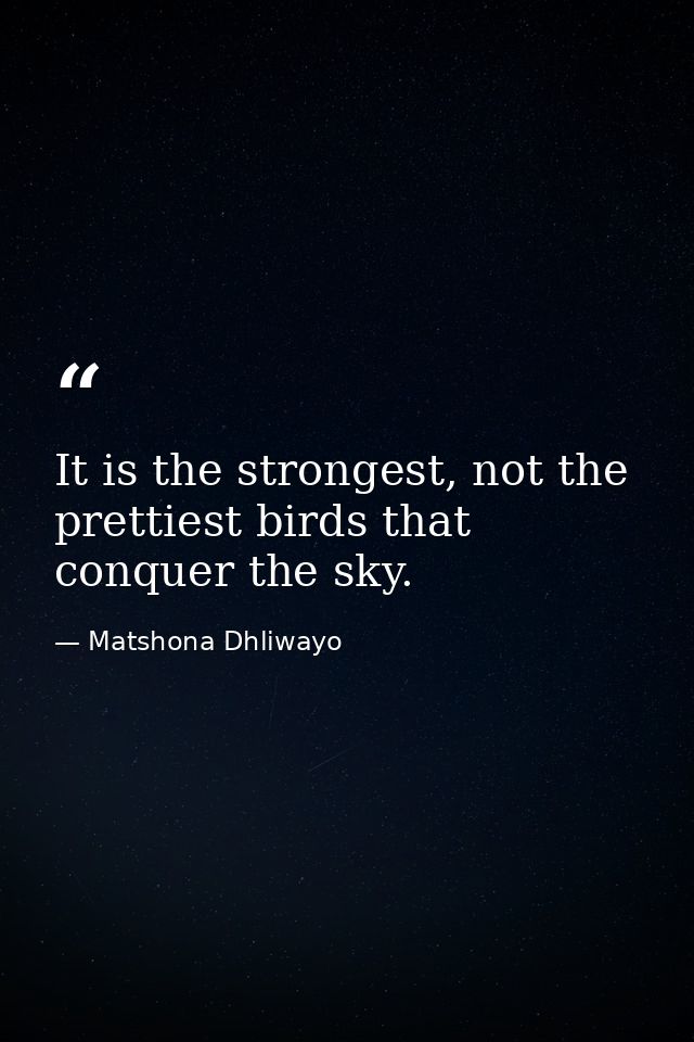 It is the strongest, not the prettiest birds that conquer the sky. — Matshona Dhliwayo