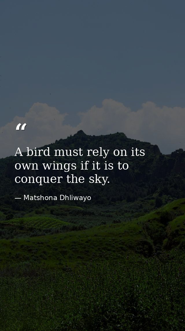 A bird must rely on its own wings if it is to conquer the sky. — Matshona Dhliwayo