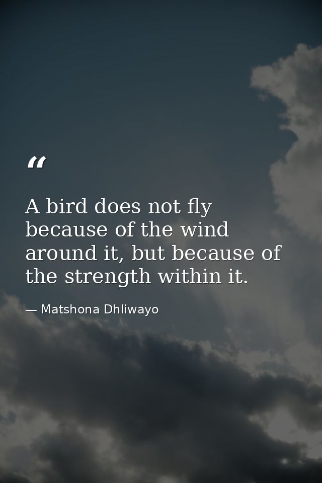 A bird does not fly because of the wind around it, but because of the strength within it. — Matshona Dhliwayo