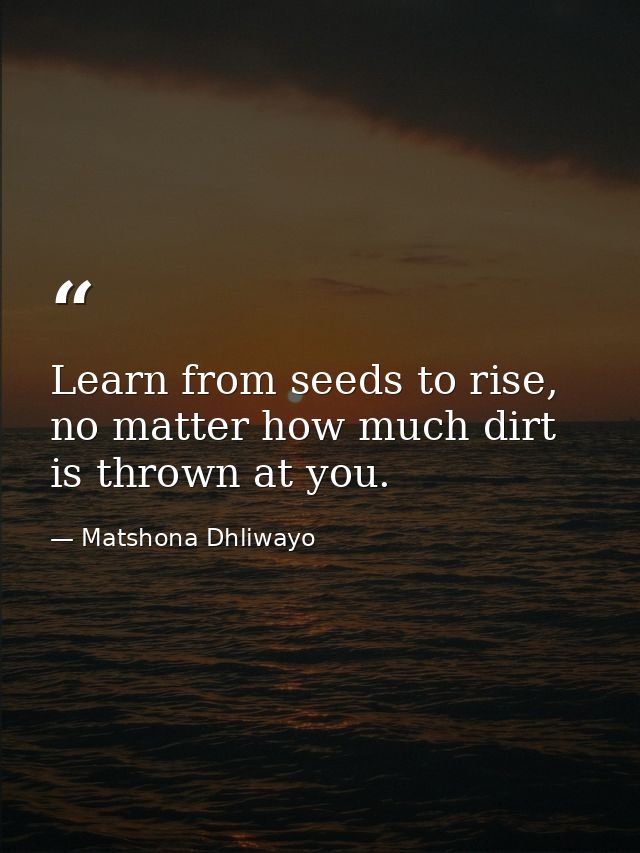 Learn from seeds to rise, no matter how much dirt is thrown at you. — Matshona Dhliwayo
