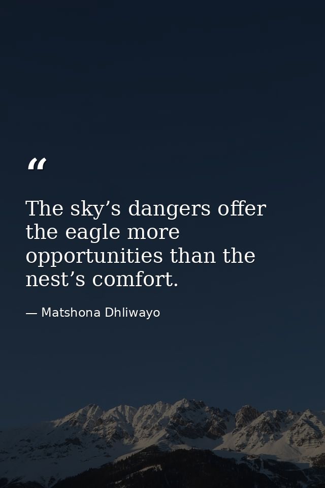 The sky’s dangers offer the eagle more opportunities than the nest’s comfort. — Matshona Dhliwayo