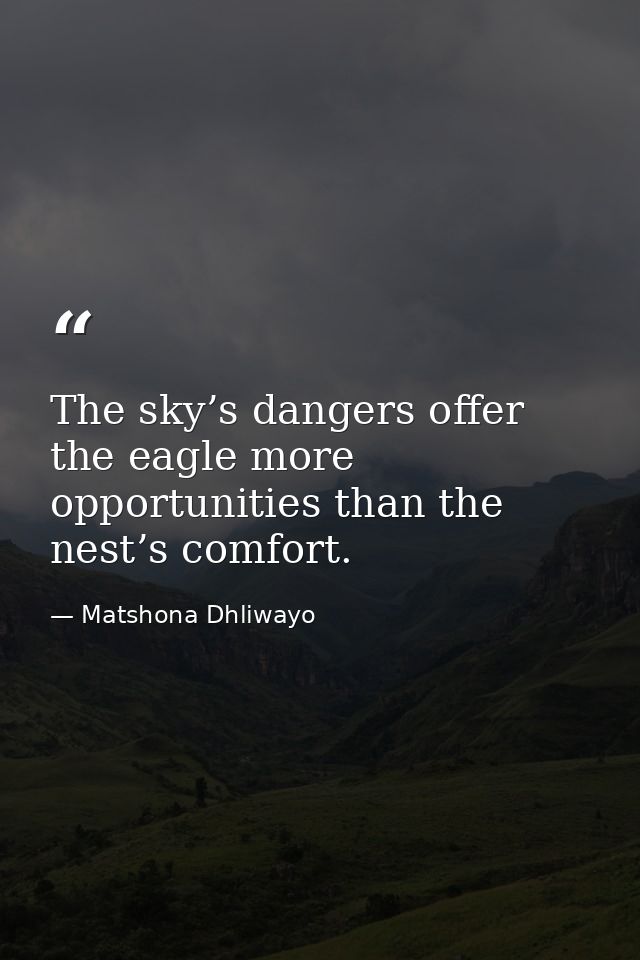 The sky’s dangers offer the eagle more opportunities than the nest’s comfort. — Matshona Dhliwayo