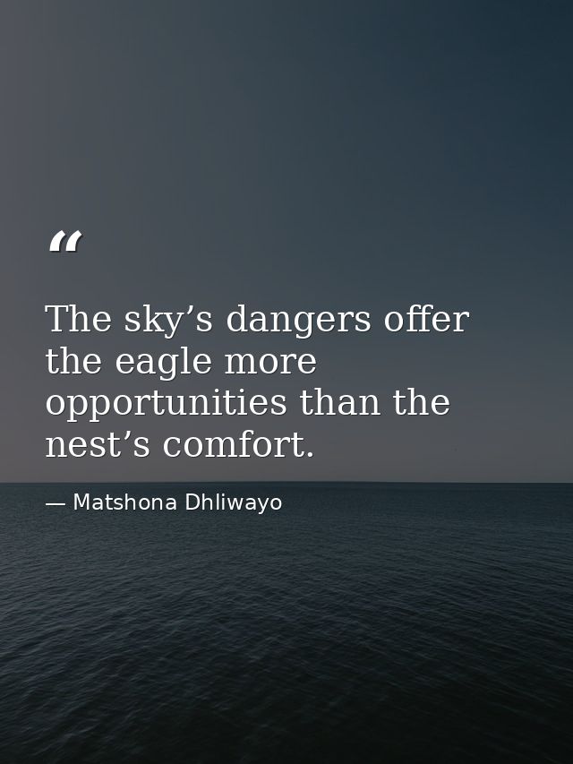 The sky’s dangers offer the eagle more opportunities than the nest’s comfort. — Matshona Dhliwayo