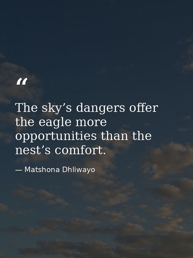 The sky’s dangers offer the eagle more opportunities than the nest’s comfort. — Matshona Dhliwayo
