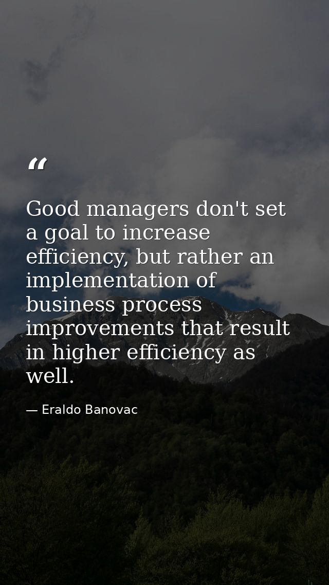Good managers don't set a goal to increase efficiency, but rather an implementation of business process improvements tha — Eraldo Banovac