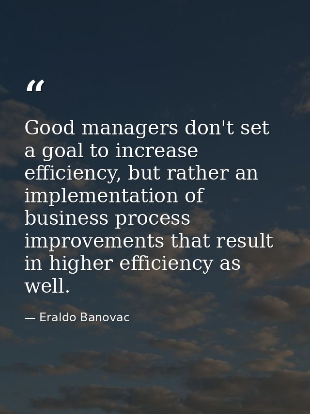 Good managers don't set a goal to increase efficiency, but rather an implementation of business process improvements tha — Eraldo Banovac