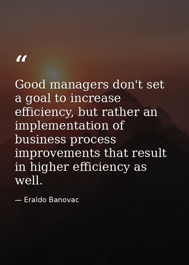 Good managers don't set a goal to increase efficiency, but rather an implementation of business process improvements tha — Eraldo Banovac