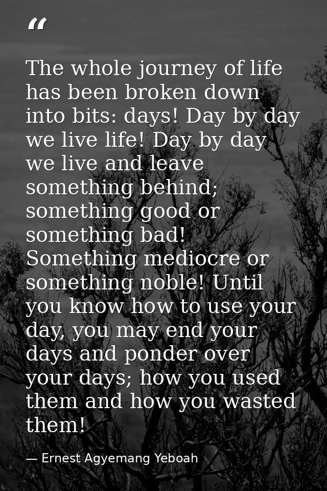 The whole journey of life has been broken down into bits: days! Day by day we live life! Day by day we live and leave so — Ernest Agyemang Yeboah
