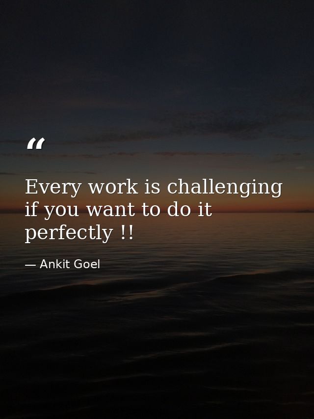Every work is challenging if you want to do it perfectly !! — Ankit Goel