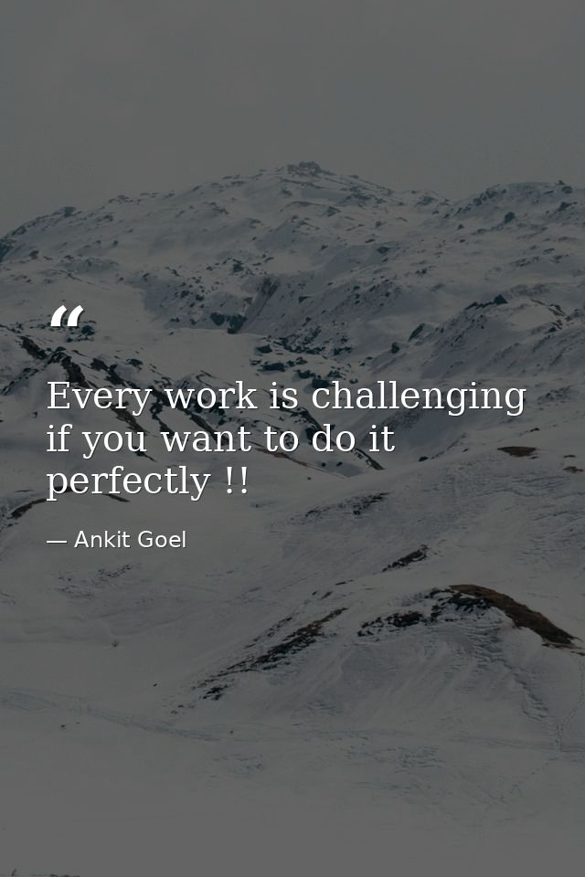 Every work is challenging if you want to do it perfectly !! — Ankit Goel