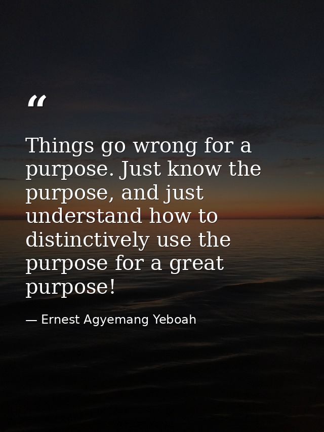 Things go wrong for a purpose. Just know the purpose, and just understand how to distinctively use the purpose for a gre — Ernest Agyemang Yeboah