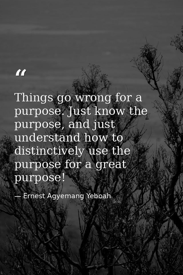 Things go wrong for a purpose. Just know the purpose, and just understand how to distinctively use the purpose for a gre — Ernest Agyemang Yeboah