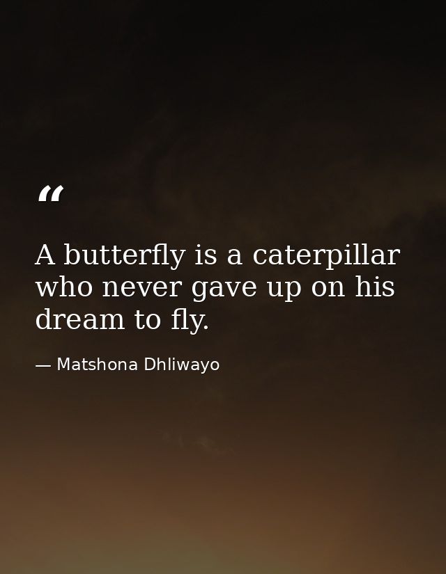 A butterfly is a caterpillar who never gave up on his dream to fly. — Matshona Dhliwayo