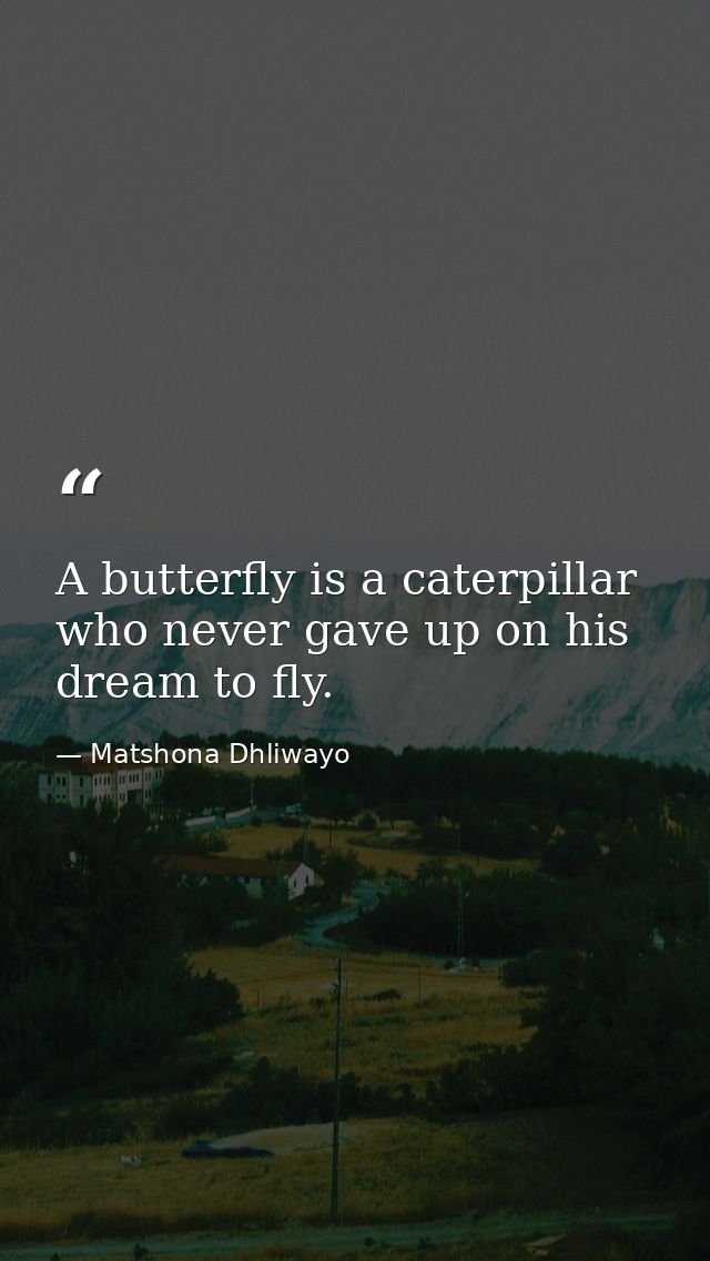 A butterfly is a caterpillar who never gave up on his dream to fly. — Matshona Dhliwayo