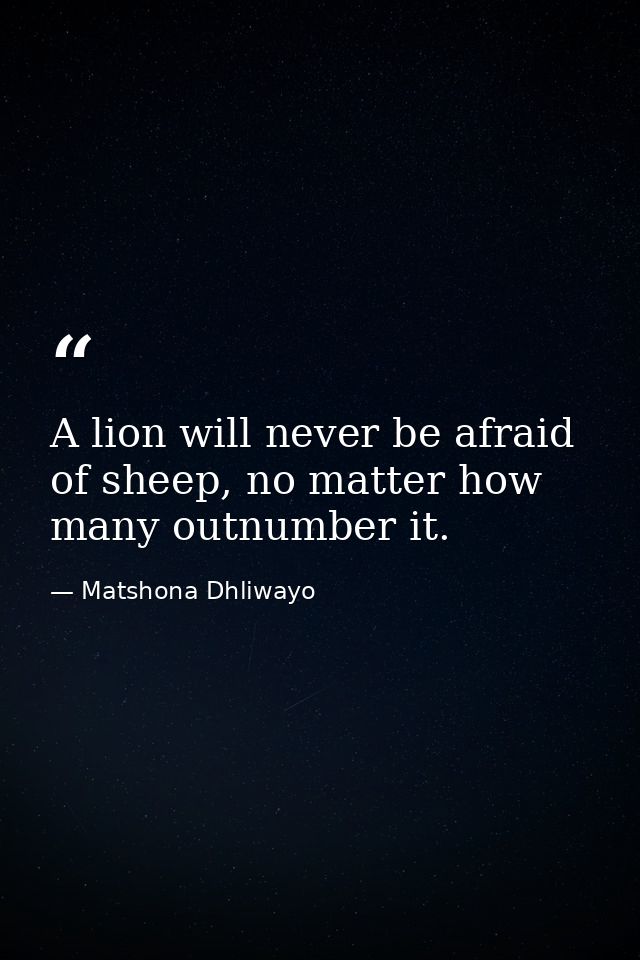 A lion will never be afraid of sheep, no matter how many outnumber it. — Matshona Dhliwayo