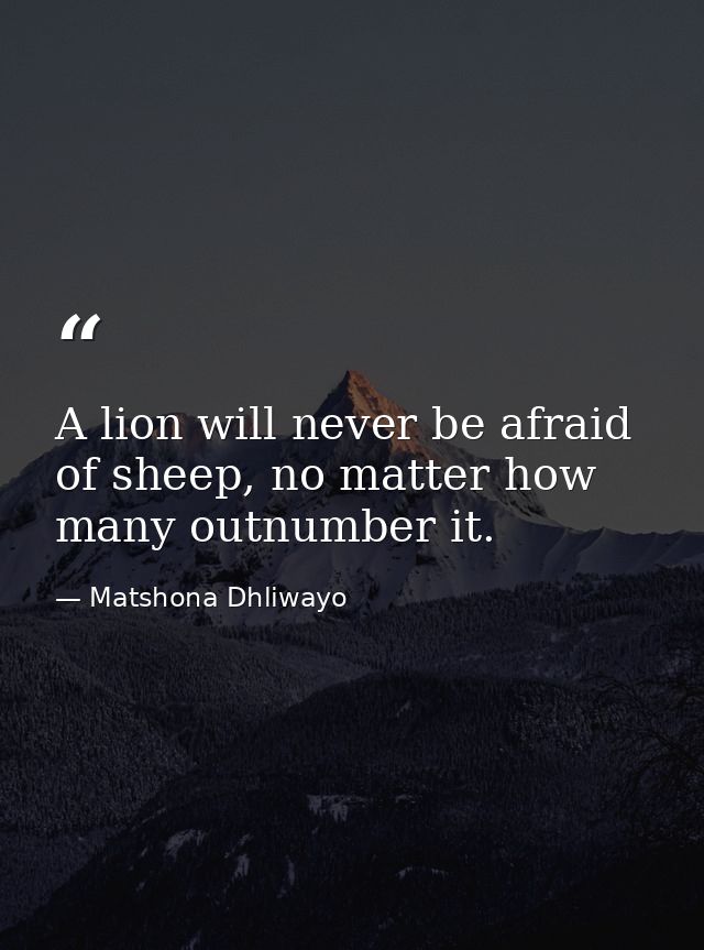 A lion will never be afraid of sheep, no matter how many outnumber it. — Matshona Dhliwayo