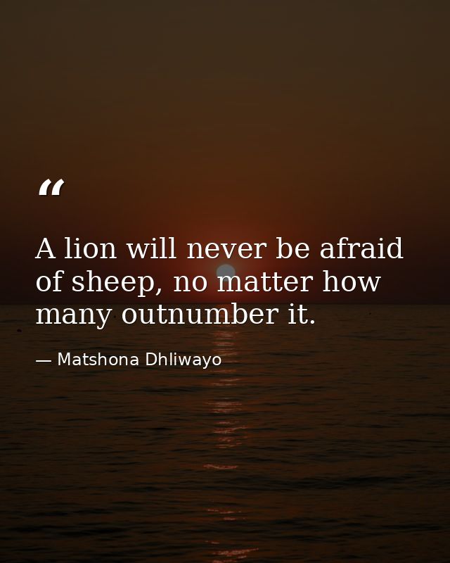 A lion will never be afraid of sheep, no matter how many outnumber it. — Matshona Dhliwayo