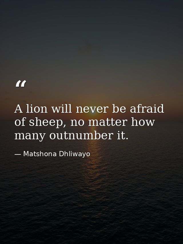 A lion will never be afraid of sheep, no matter how many outnumber it. — Matshona Dhliwayo