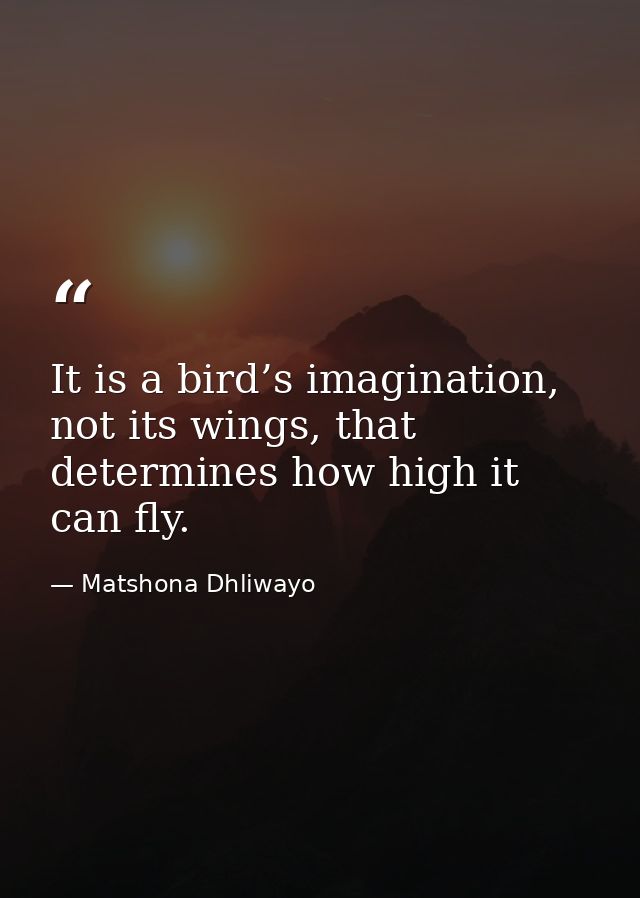 It is a bird’s imagination, not its wings, that determines how high it can fly. — Matshona Dhliwayo
