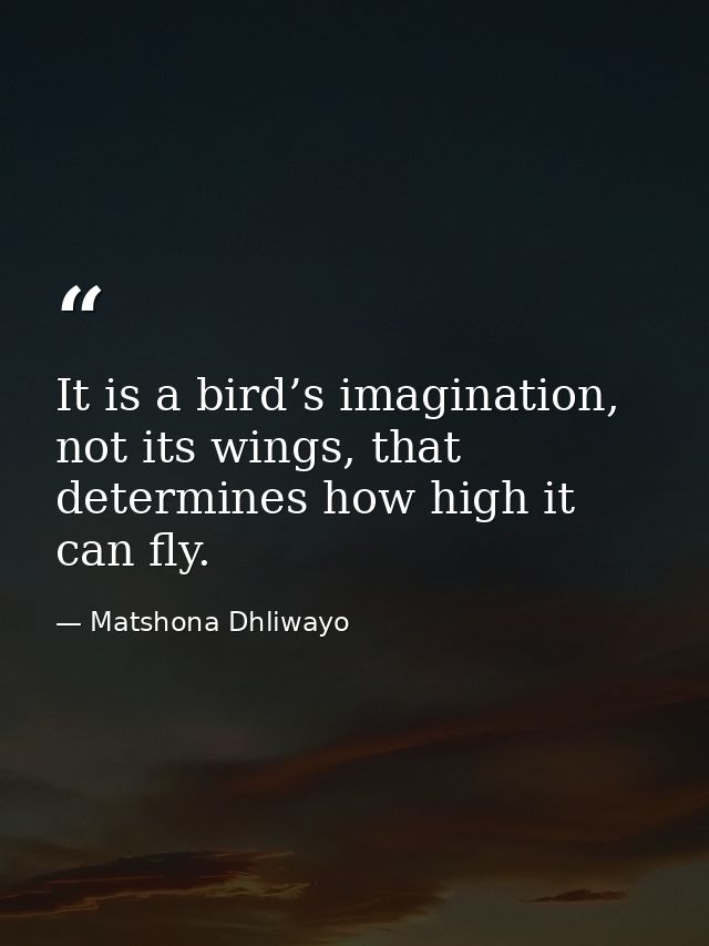 It is a bird’s imagination, not its wings, that determines how high it can fly. — Matshona Dhliwayo