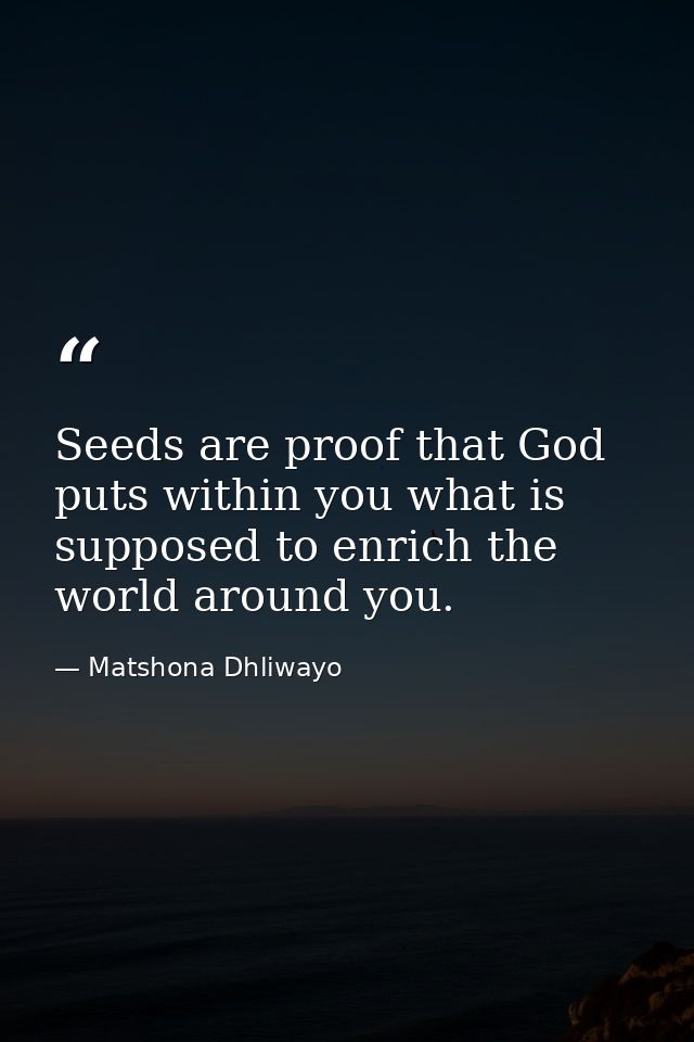 Seeds are proof that God puts within you what is supposed to enrich the world around you. — Matshona Dhliwayo
