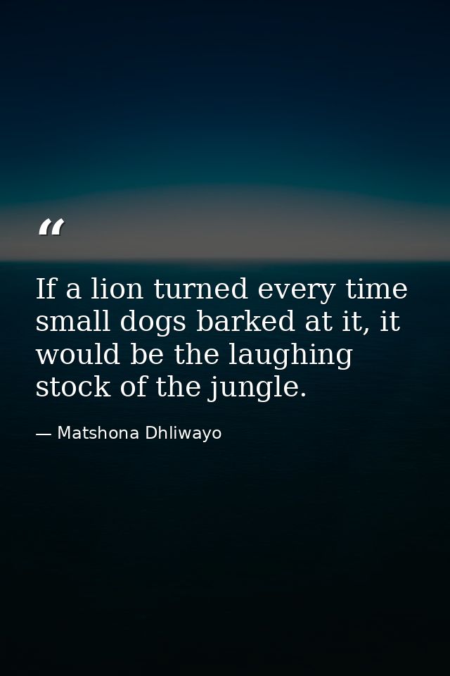If a lion turned every time small dogs barked at it, it would be the laughing stock of the jungle. — Matshona Dhliwayo
