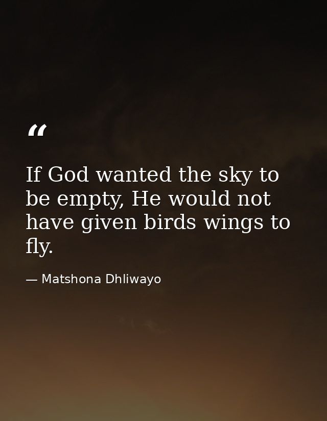 If God wanted the sky to be empty, He would not have given birds wings to fly. — Matshona Dhliwayo