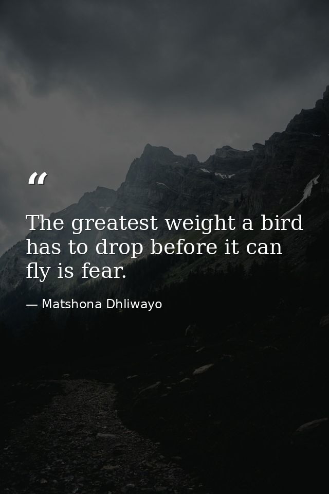 The greatest weight a bird has to drop before it can fly is fear. — Matshona Dhliwayo