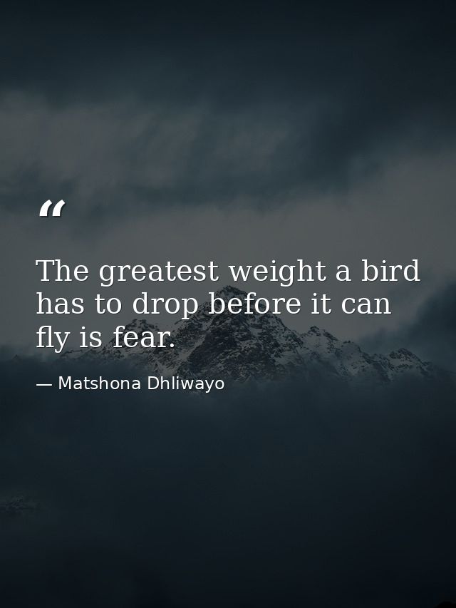 The greatest weight a bird has to drop before it can fly is fear. — Matshona Dhliwayo