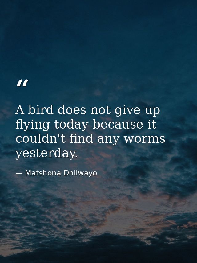 A bird does not give up flying today because it couldn't find any worms yesterday. — Matshona Dhliwayo