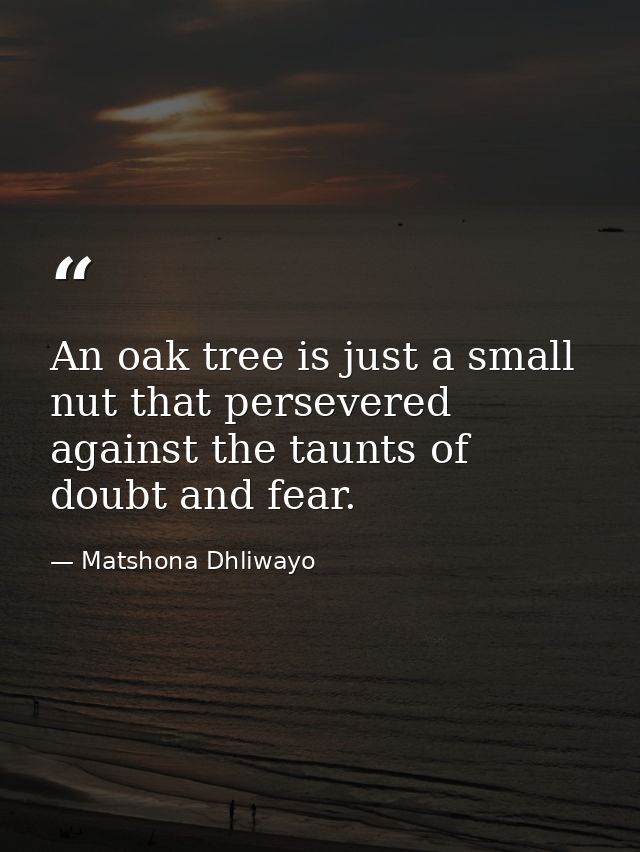 An oak tree is just a small nut that persevered against the taunts of doubt and fear. — Matshona Dhliwayo