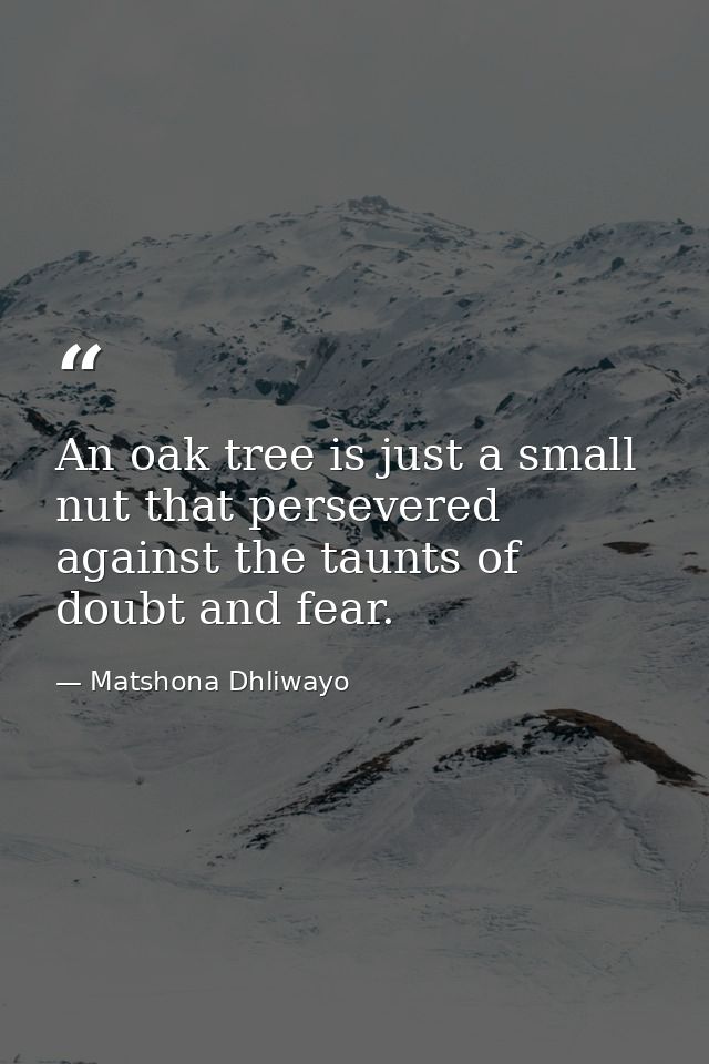 An oak tree is just a small nut that persevered against the taunts of doubt and fear. — Matshona Dhliwayo