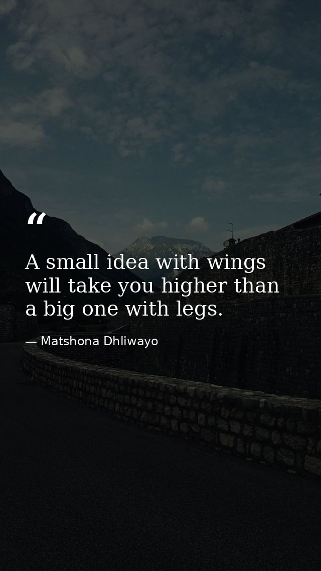A small idea with wings will take you higher than a big one with legs. — Matshona Dhliwayo