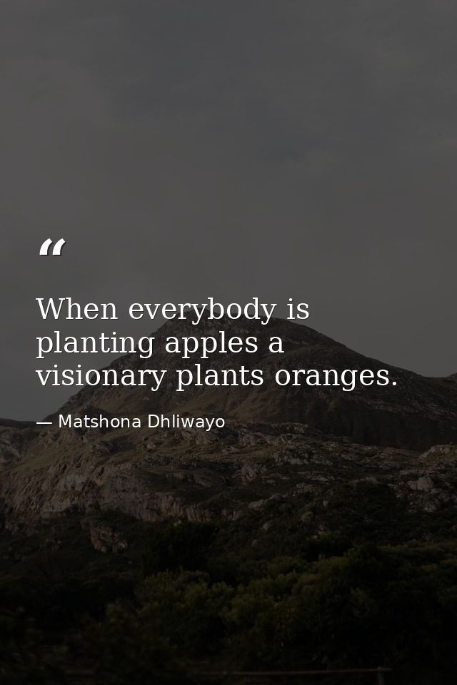 When everybody is planting apples a visionary plants oranges. — Matshona Dhliwayo