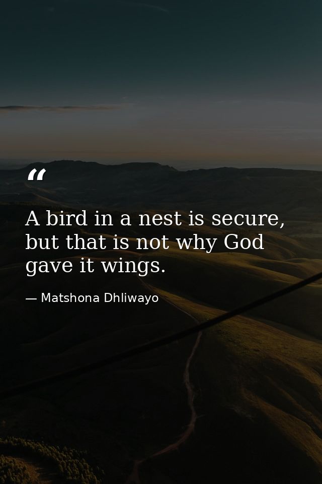 A bird in a nest is secure, but that is not why God gave it wings. — Matshona Dhliwayo