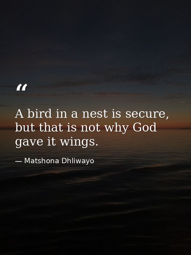 A bird in a nest is secure, but that is not why God gave it wings. — Matshona Dhliwayo