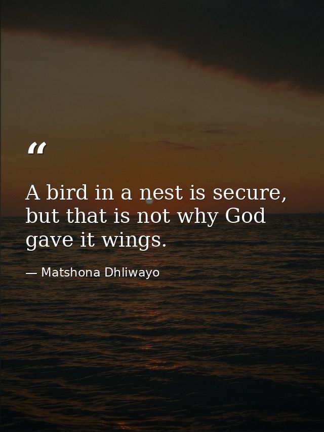 A bird in a nest is secure, but that is not why God gave it wings. — Matshona Dhliwayo