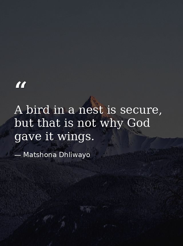 A bird in a nest is secure, but that is not why God gave it wings. — Matshona Dhliwayo
