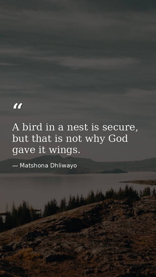 A bird in a nest is secure, but that is not why God gave it wings. — Matshona Dhliwayo