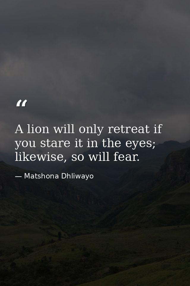 A lion will only retreat if you stare it in the eyes; likewise, so will fear. — Matshona Dhliwayo